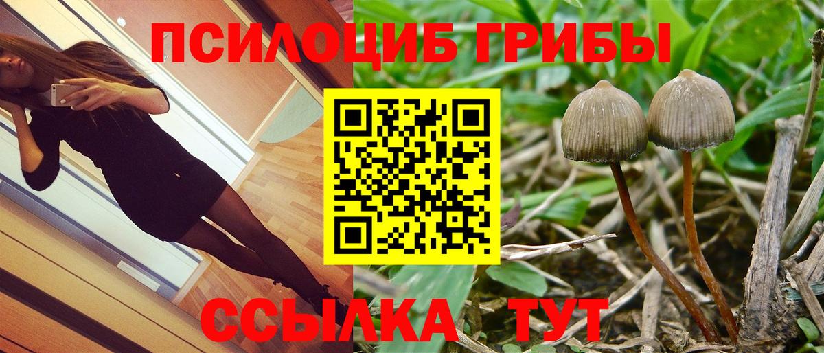 хочу наркоту  Вход с VPN  Белгород  Псилоцибиновые грибы MAGIC MUSHROOMS 